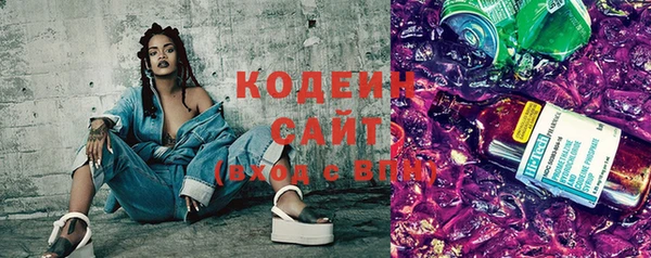 соль ск Кодинск