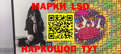 прущие грибы Краснодар