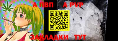 прущие грибы Краснодар
