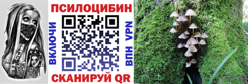 мориарти Telegram  Кизляр  Псилоцибиновые грибы Cubensis  блэк спрут как войти 