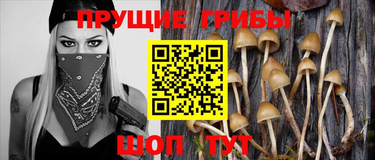 Псилоцибиновые грибы GOLDEN TEACHER  Вход с VPN  Кизляр 